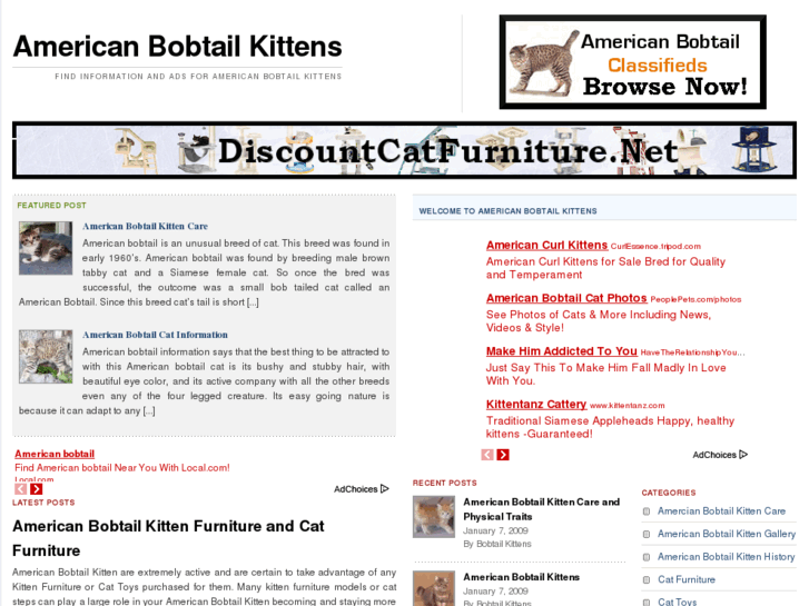 www.americanbobtailkittens.net