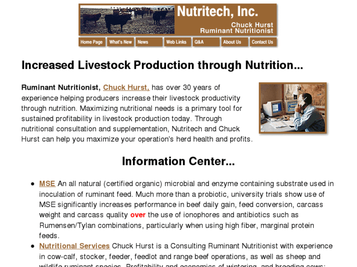 www.beeftech.com