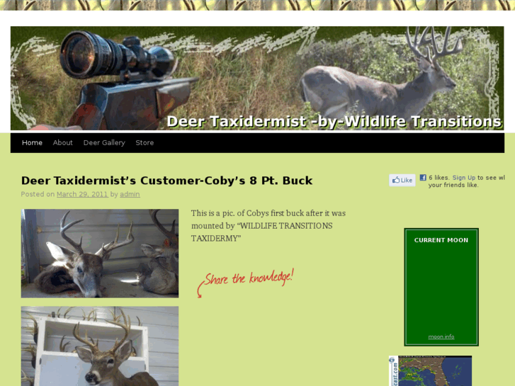 www.deertaxidermist.com