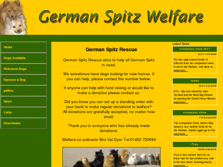 www.germanspitzrescue.co.uk