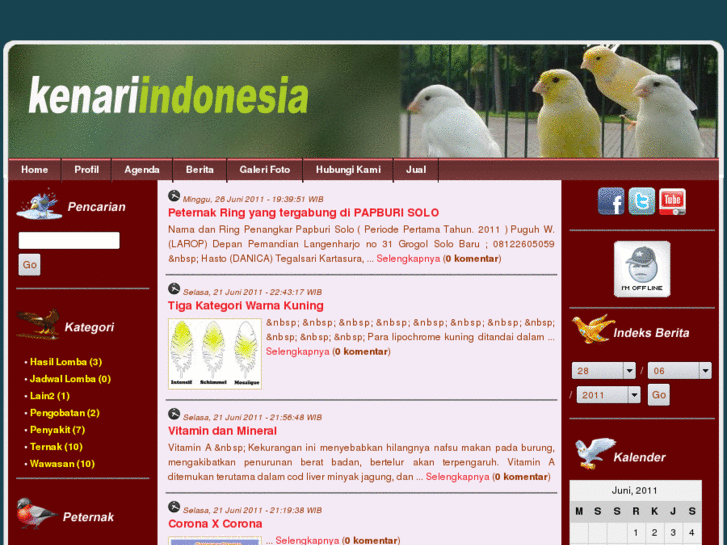 www.kenariindonesia.com