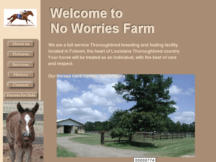 www.noworriesfarm.com