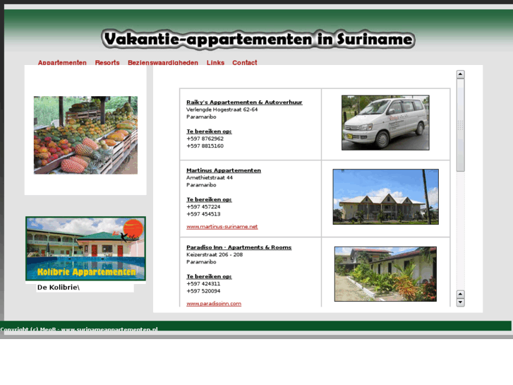www.surinameappartementen.nl