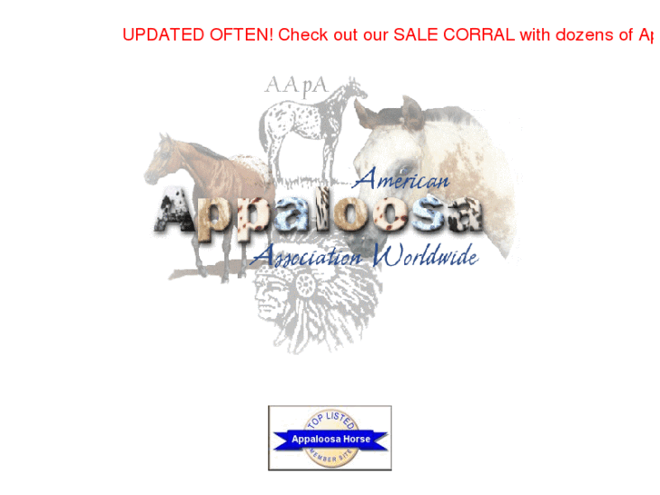 www.amappaloosa.com