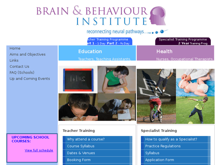 www.brainandbehaviourinstitute.net