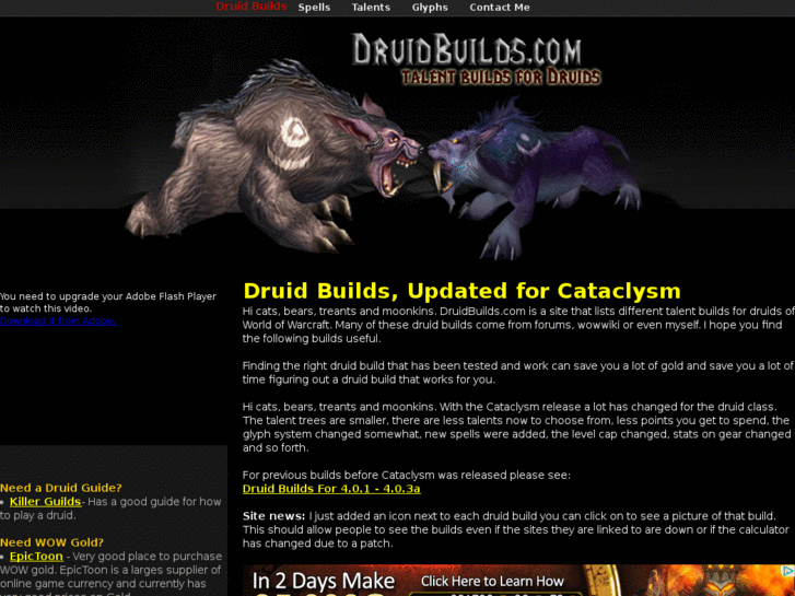 www.druidbuilds.com