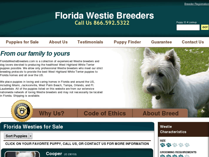 www.floridawestiebreeders.com