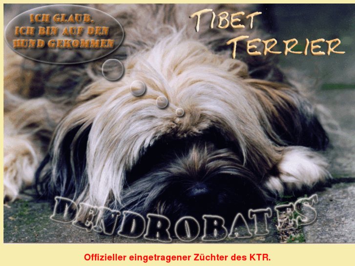 www.tibet-terrier.biz