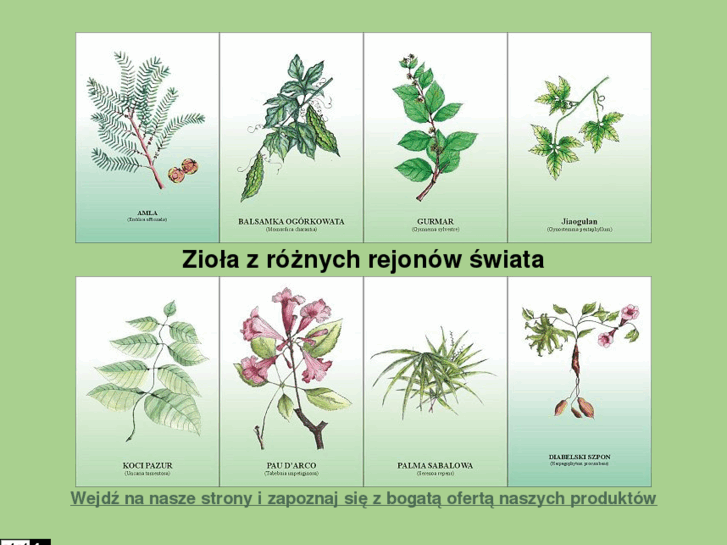 www.ziola.szczecin.pl