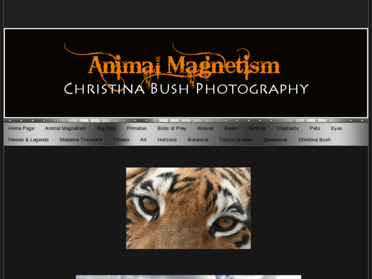 www.animalmagnetismphotography.com