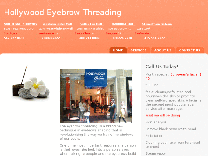 www.hollywoodeyebrow.com