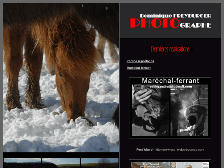 www.photo-de-chevaux.com