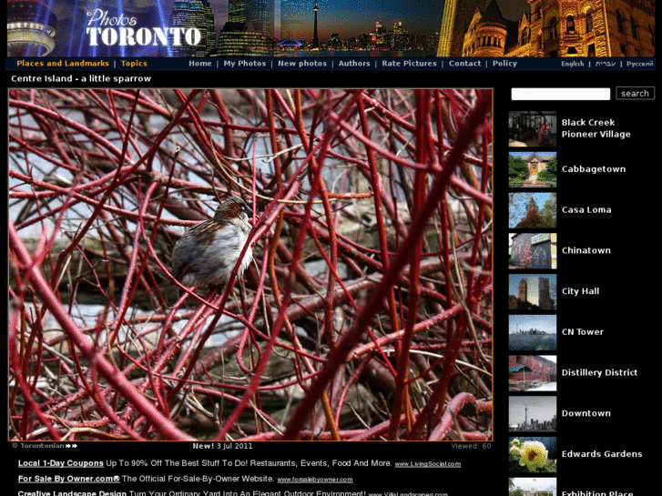 www.torontosnaps.com