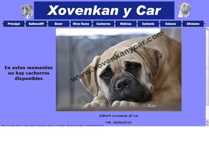 www.xovenkanycar.com