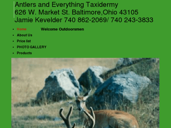 www.antlersandeverythingtaxidermy.com