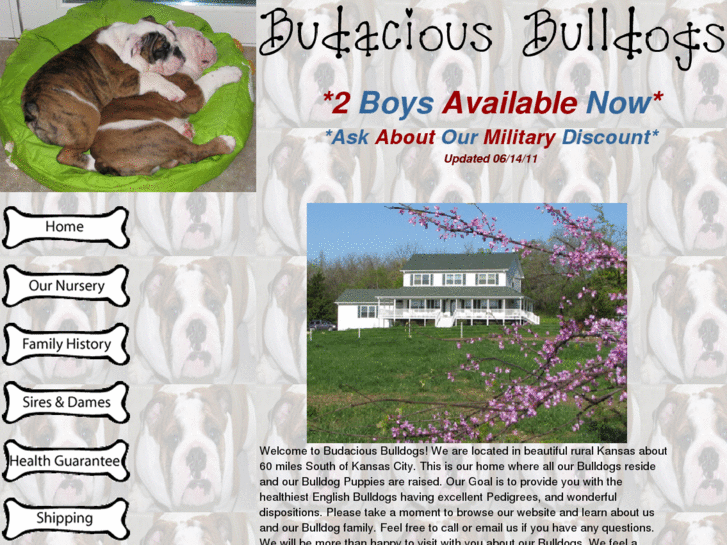 www.budaciousbulldogs.com