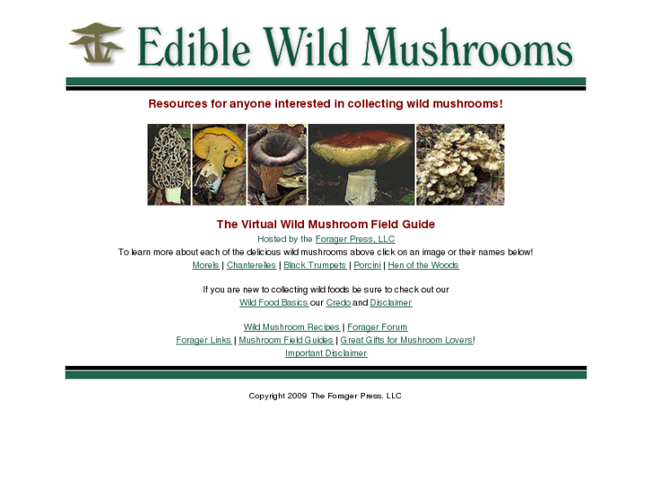 www.ediblewildmushrooms.com
