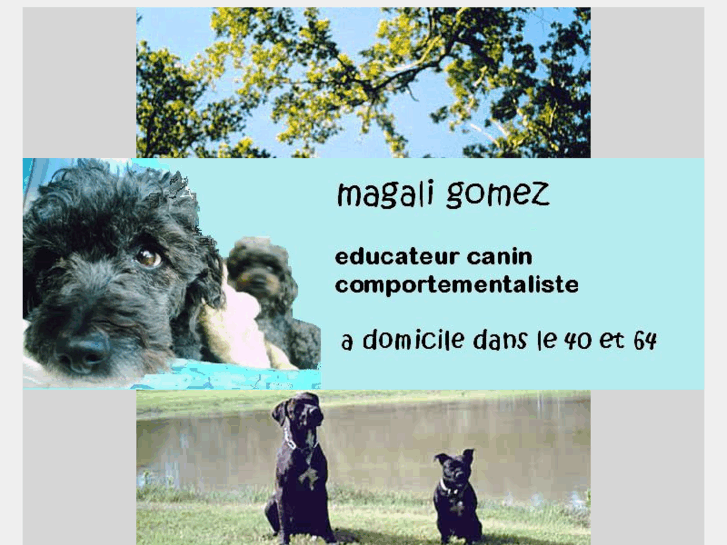 www.mg-educanin.com