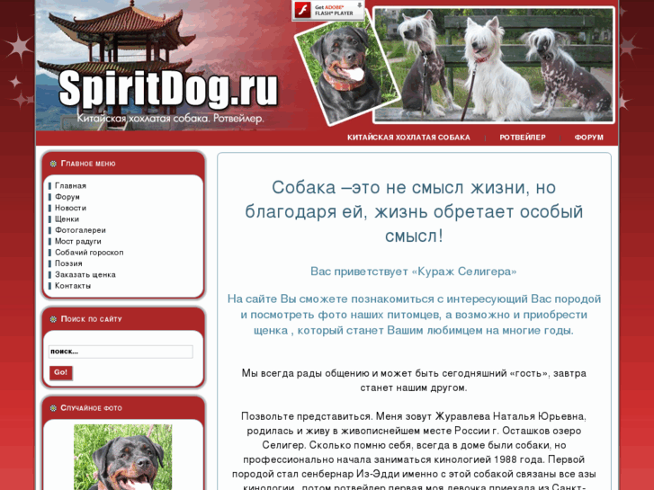 www.spiritdog.ru