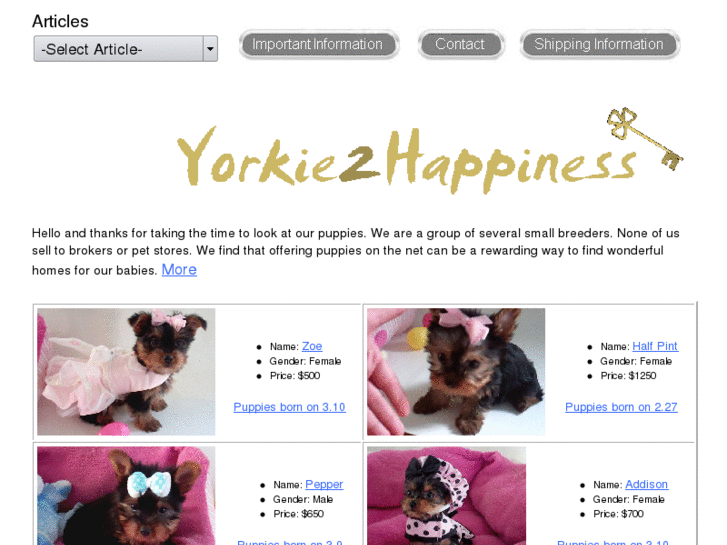 www.yorkie2happiness.com