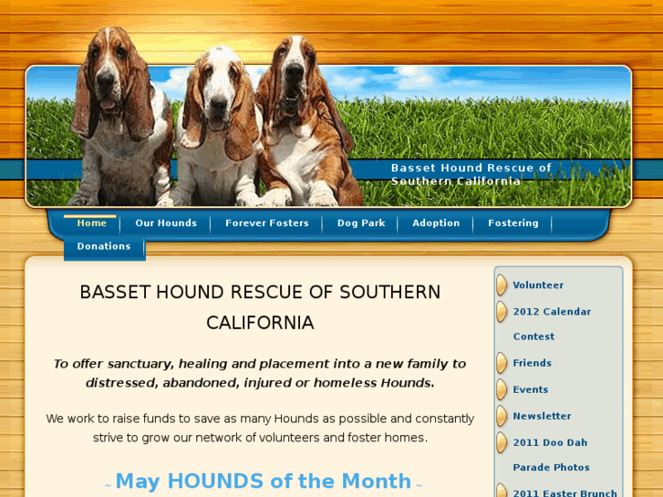 www.bassethoundrescue.org