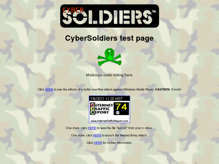 www.cybersoldiers.com