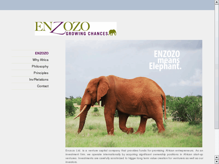 www.enzozo.com