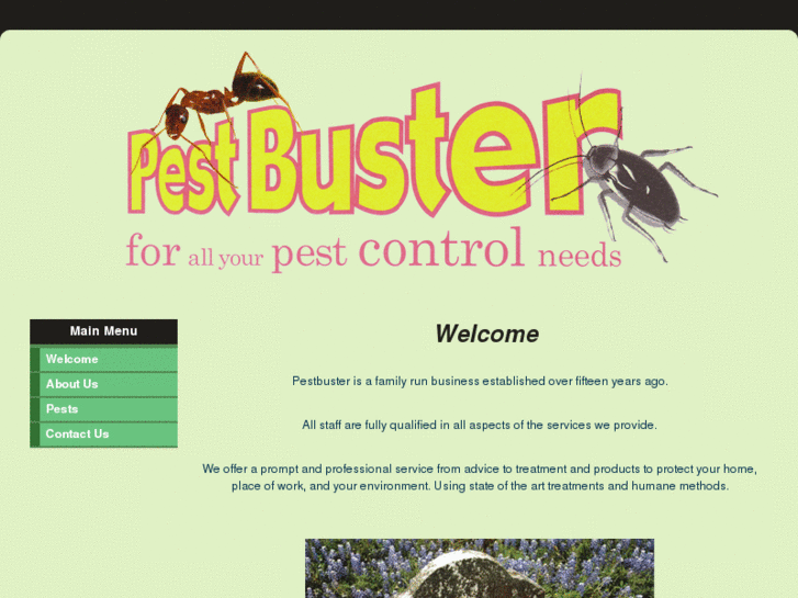 www.pestbuster.co.uk