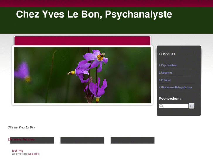 www.yves-le-bon.org