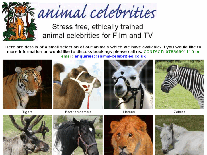 www.animal-celebrities.co.uk