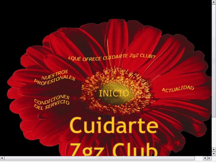 www.cuidartezaragoza.com