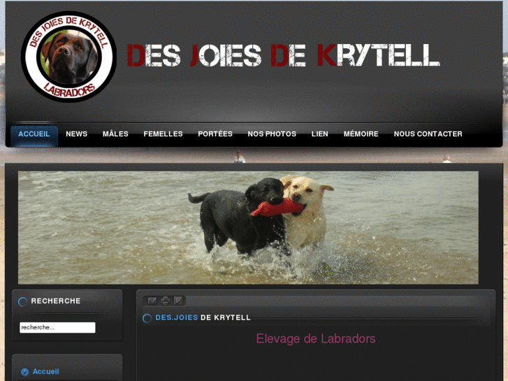 www.desjoiesdekrytell.com