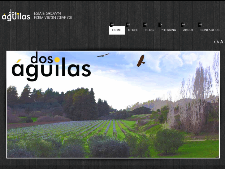 www.dosaguilasdelvalle.com