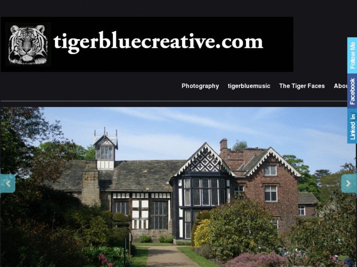 www.tigerbluecreative.com