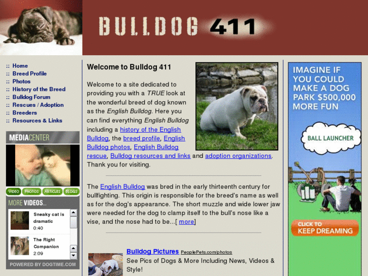 www.bulldog411.com