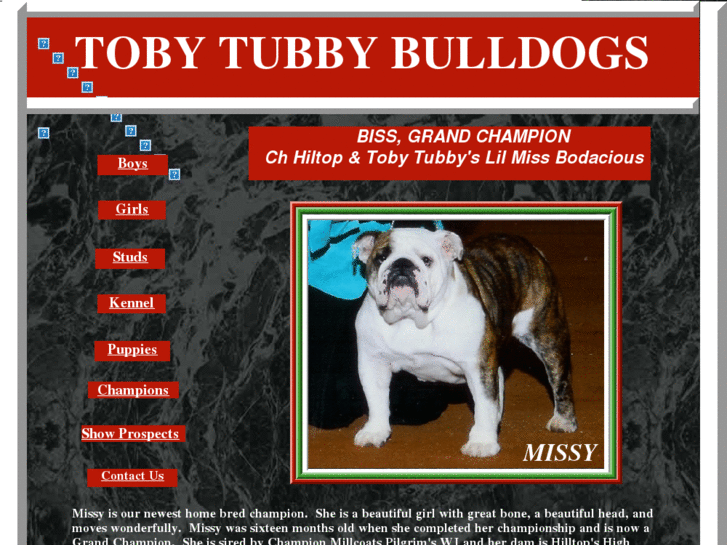 www.tobytubbybulldogs.com