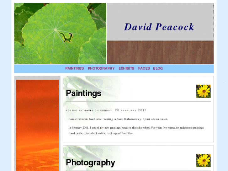 www.davidpeacock.net