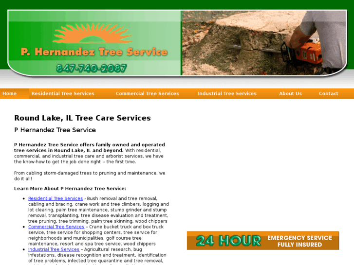 www.phernandeztreeservice.com