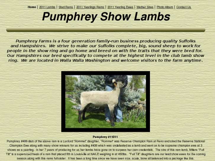 www.pumphreysuffolks.com