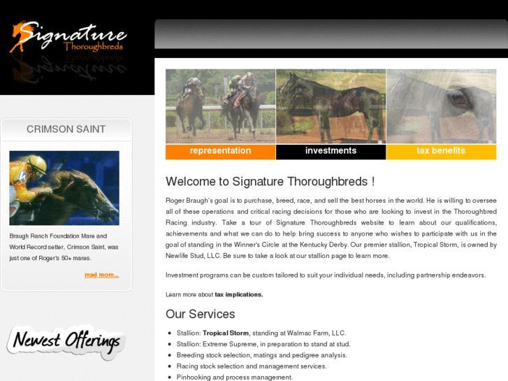 www.signaturethoroughbreds.com