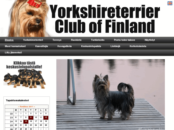 www.ycf.fi