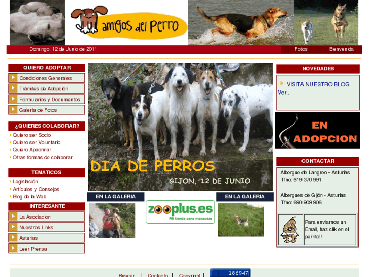 www.amigosdelperro.org