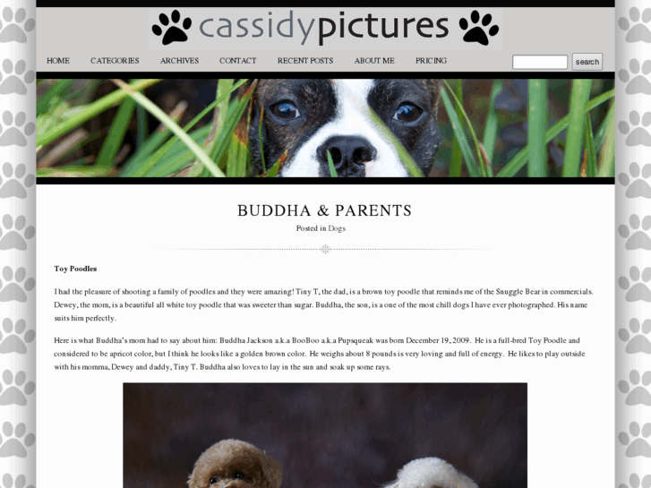 www.cassidypictures.com