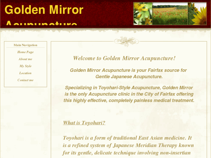 www.goldenmirroracupuncture.com