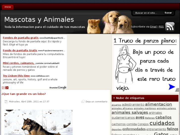 www.mascotasyanimales.org