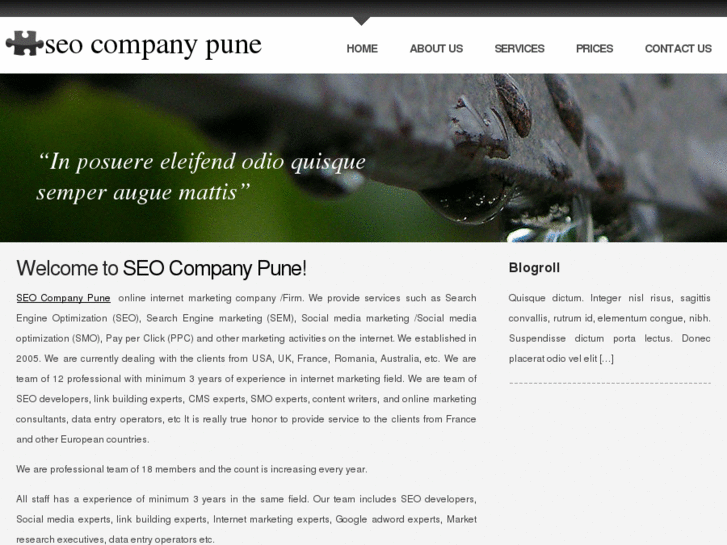 www.seo-company-pune.net