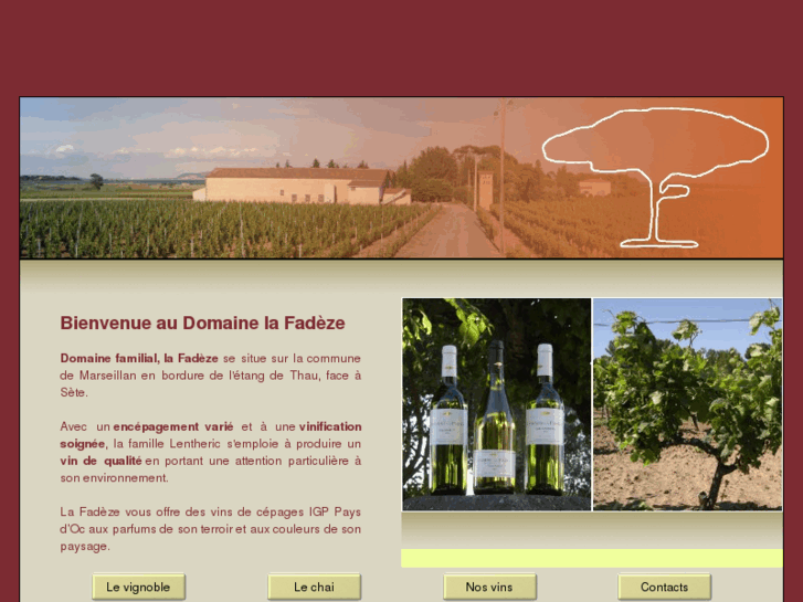 www.lafadeze-vinsdulanguedoc.com