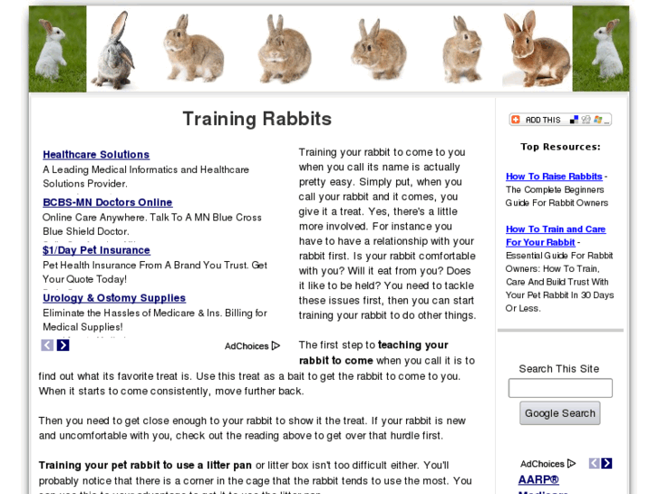 www.rabbits-health-care.us