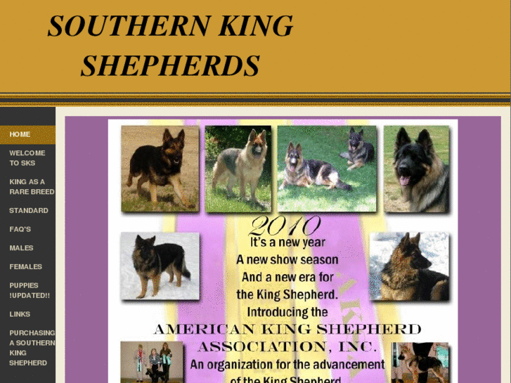 www.southernkings.com