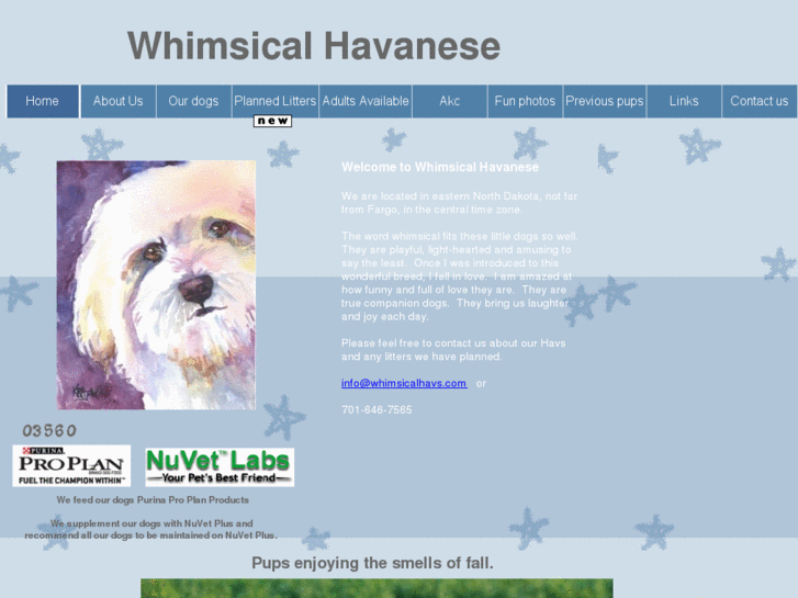 www.whimsicalhavs.com